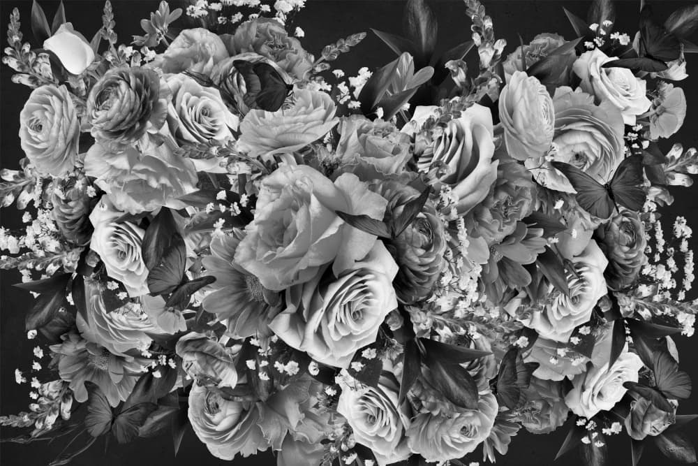 Elegant Black White Blooms by Sue Skellern — canvas wall art