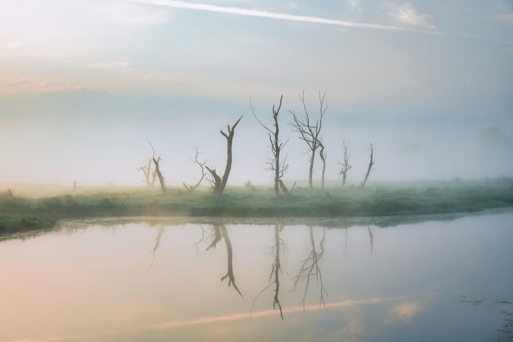 Misty Morning Reflections by Pawel Kado — canvas wall art