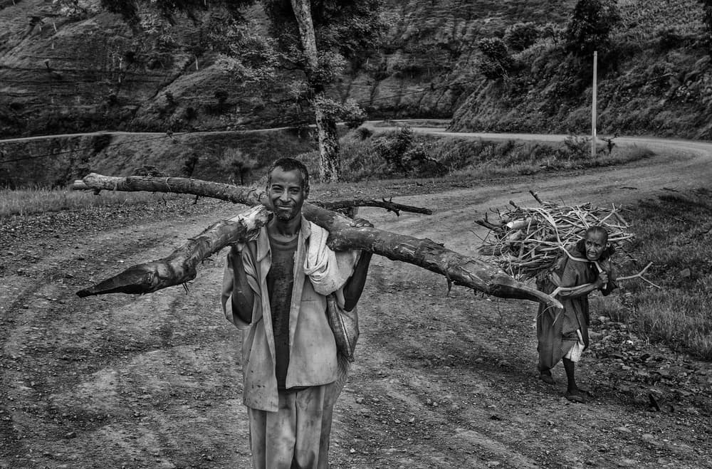 Daily Firewood Journey by Joxe Inazio Kuesta Garmendia — canvas wall art