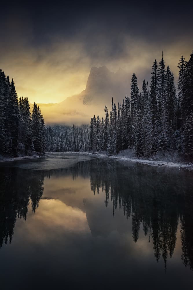 Misty Forest Lake Dawn by David Martin Castan — canvas wall art