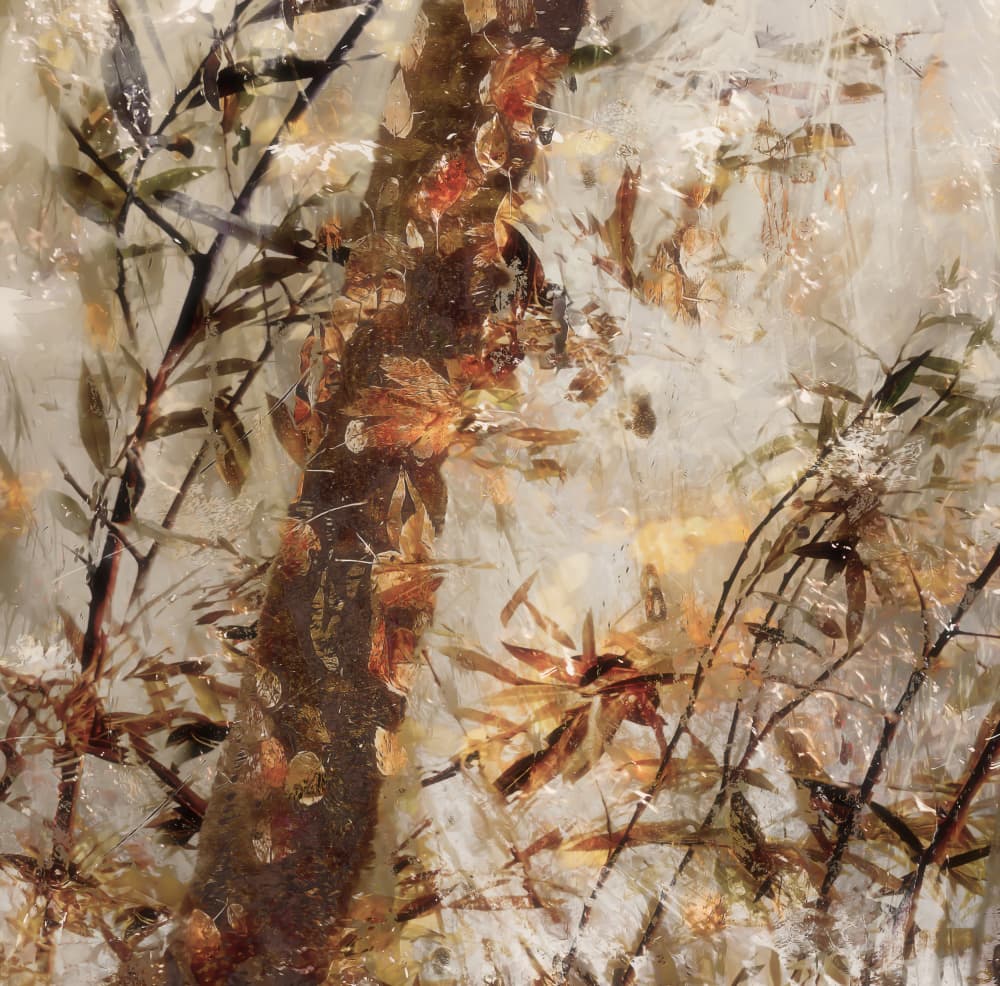 Stormy weather by Nel Talen — canvas wall art
