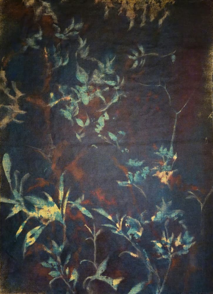 Midnight Garden Flora by Stefano Mazzolini — canvas wall art