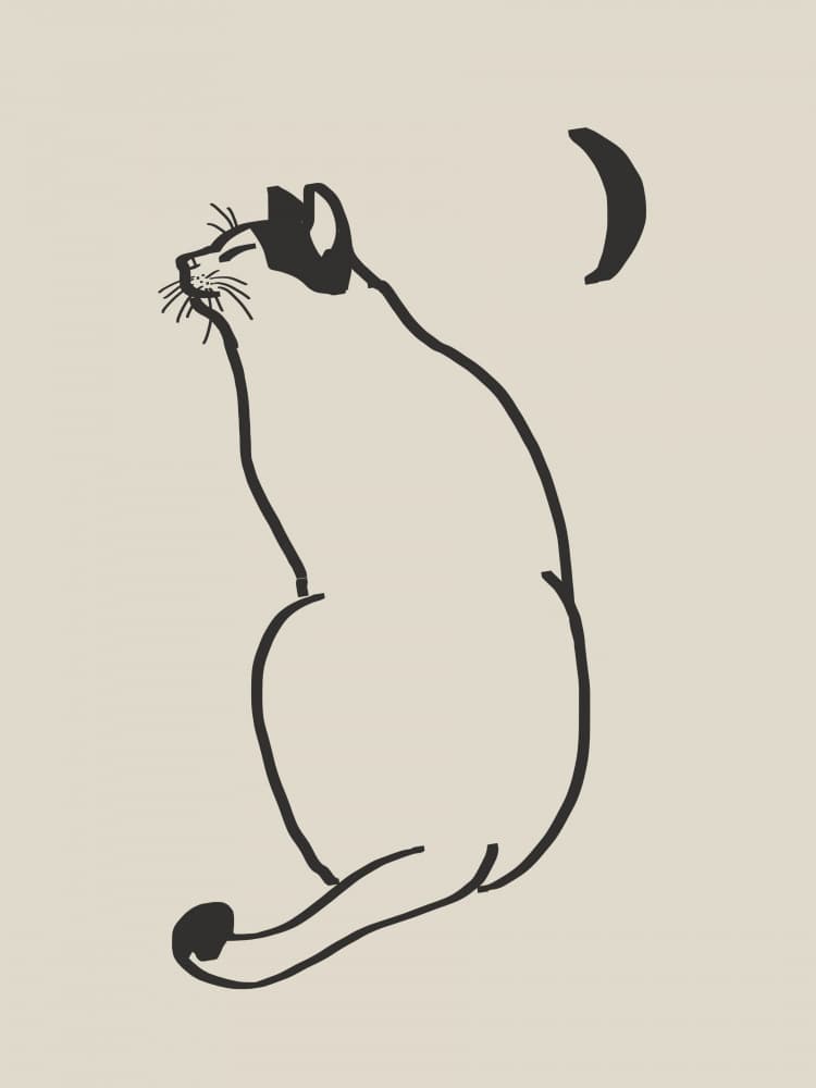 Night Cat's Song by Little Dean — canvas wall art