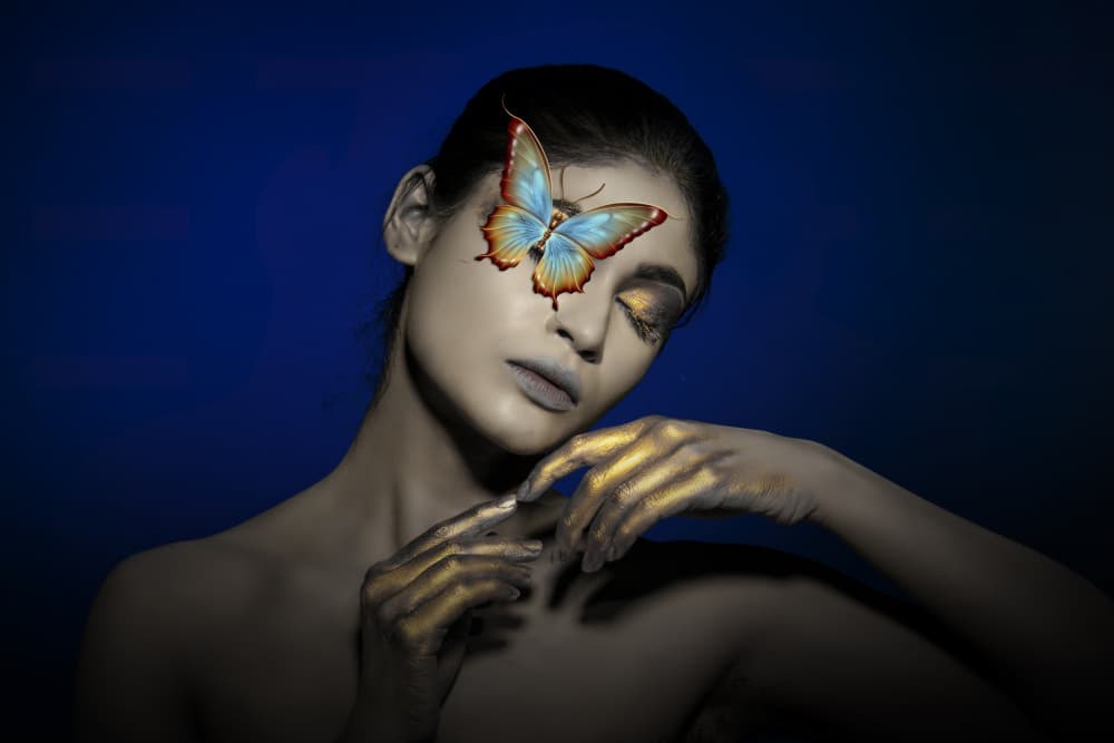 Ethereal Butterfly Woman by PARTHA BHATTACHARYYA — canvas wall art