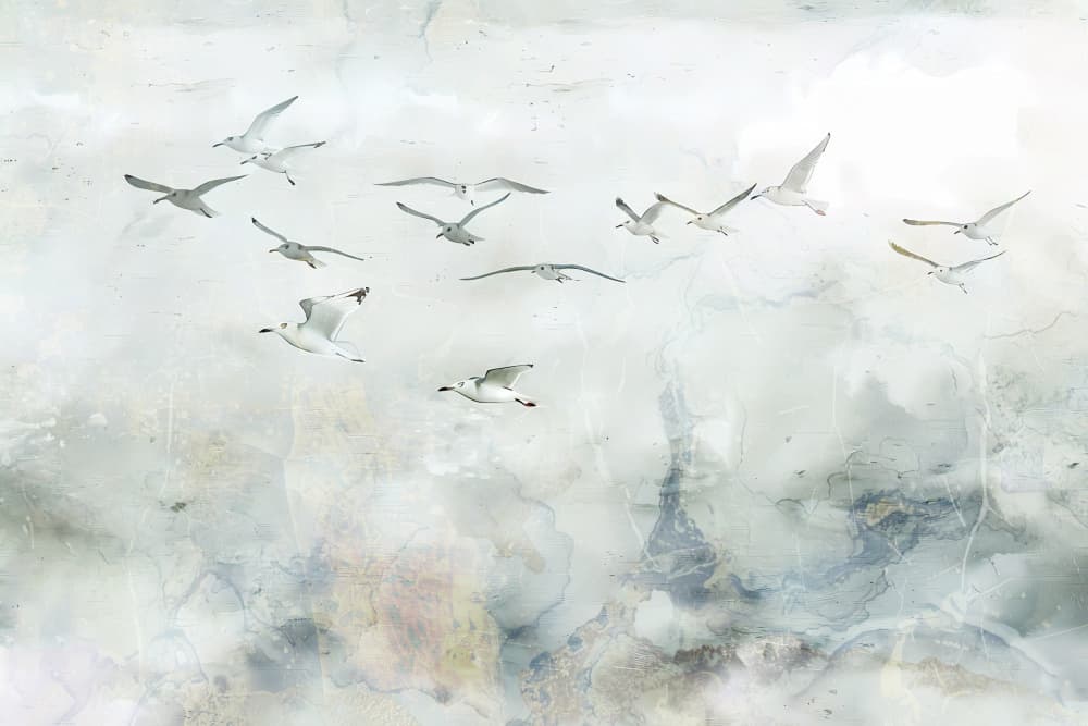 Ethereal Bird Flight by Rafal Kulik — canvas wall art