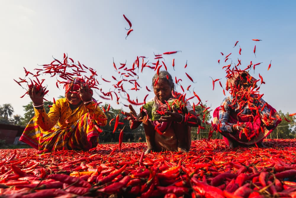 Red Chili by Prithul Das — canvas wall art