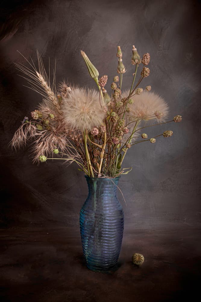Rustic Botanical Still Life by Cicek Kiral — canvas wall art