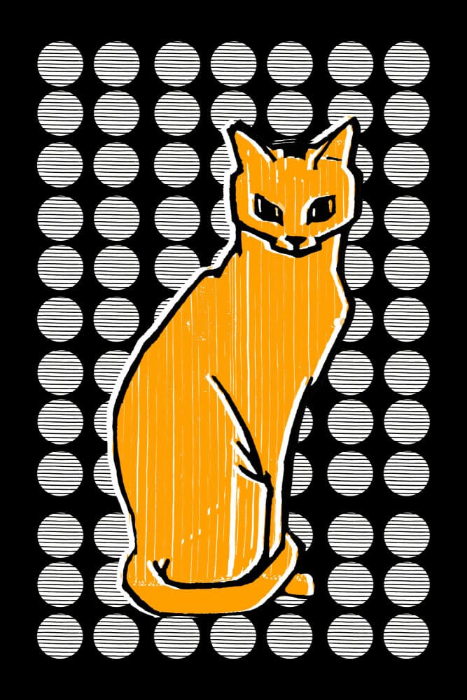 Orange Cat Circles by casa cartissi — canvas wall art