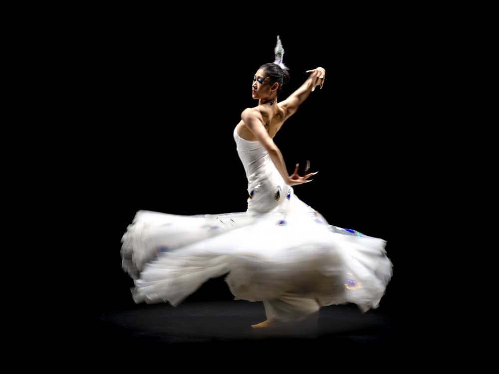 Graceful White Dance by Frank Ma — canvas wall art