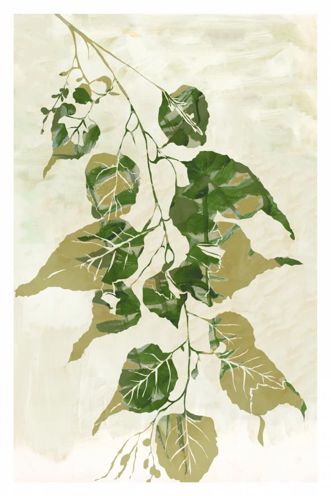 Fresh Green Leaves by cartissi — canvas wall art