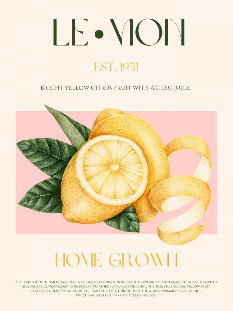 Sunny Lemon Citrus by Nazma Khokhar — canvas wall art