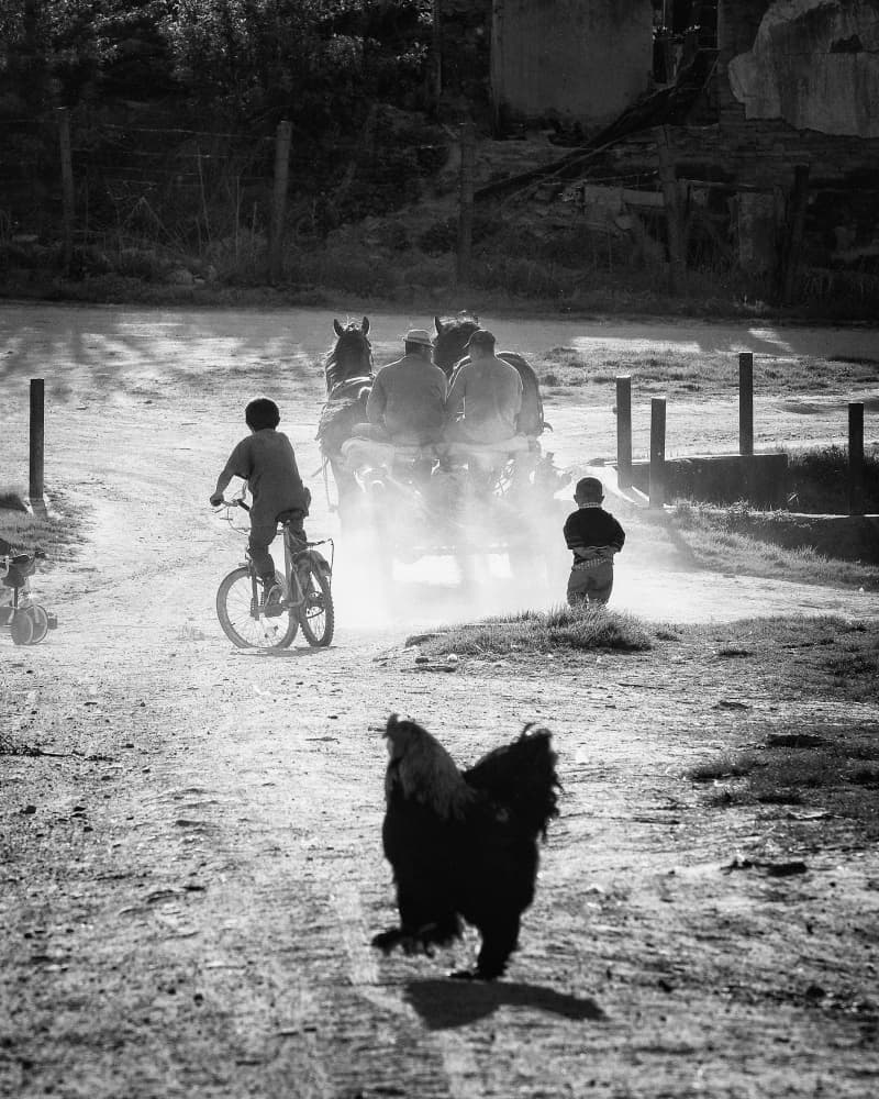 Dusty Country Road Life by Sebastian Prioteasa — canvas wall art