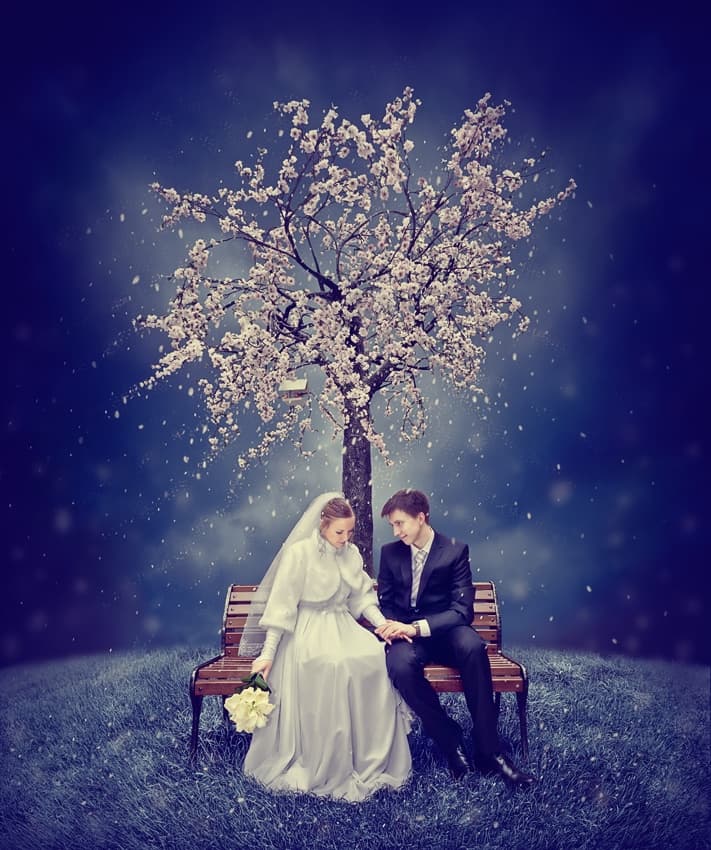 Couple Under Falling Blossoms by Dmitry Frizel — canvas wall art