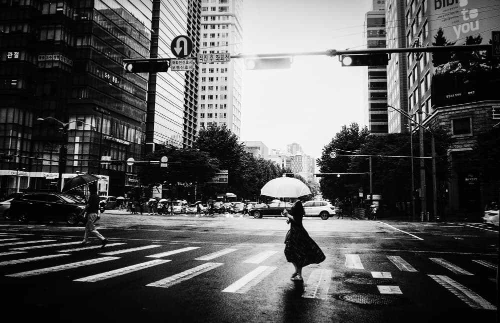 Umbrellas in the Rain by Mi Young Choi — canvas wall art