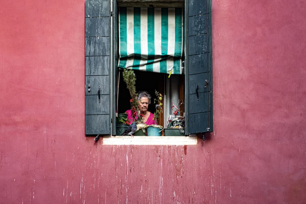 Woman At Pink Window by Linda Wride — canvas wall art