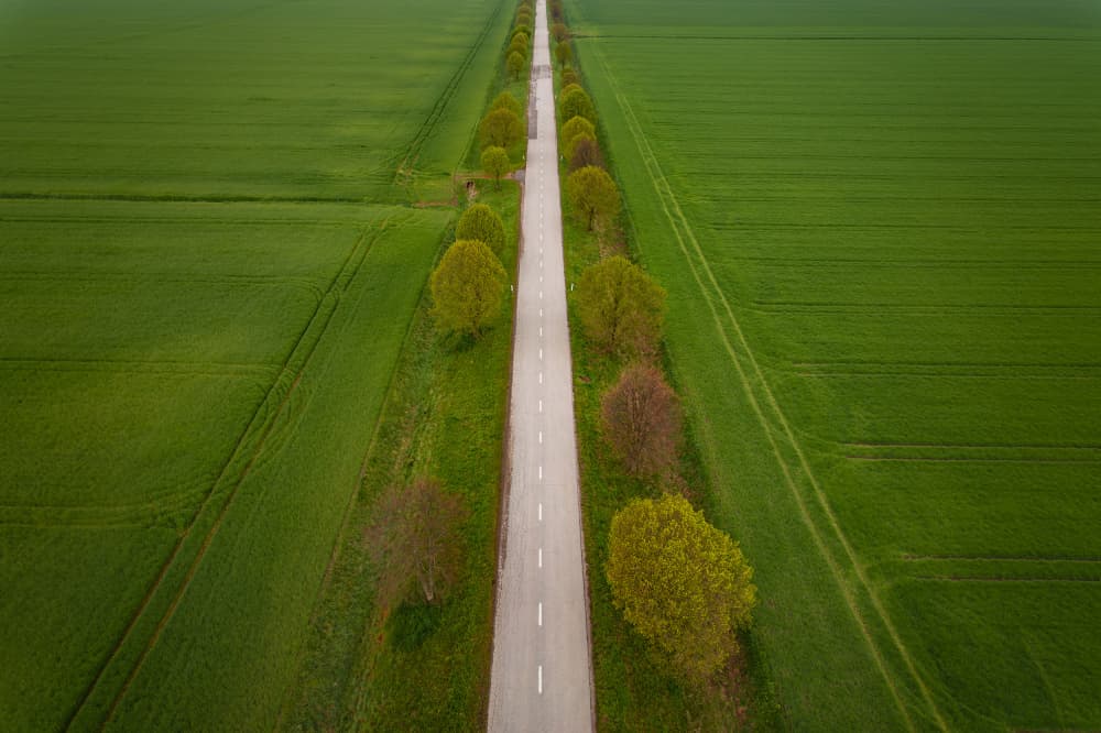 Tree Lined Country Road by Jure Kravanja — canvas wall art