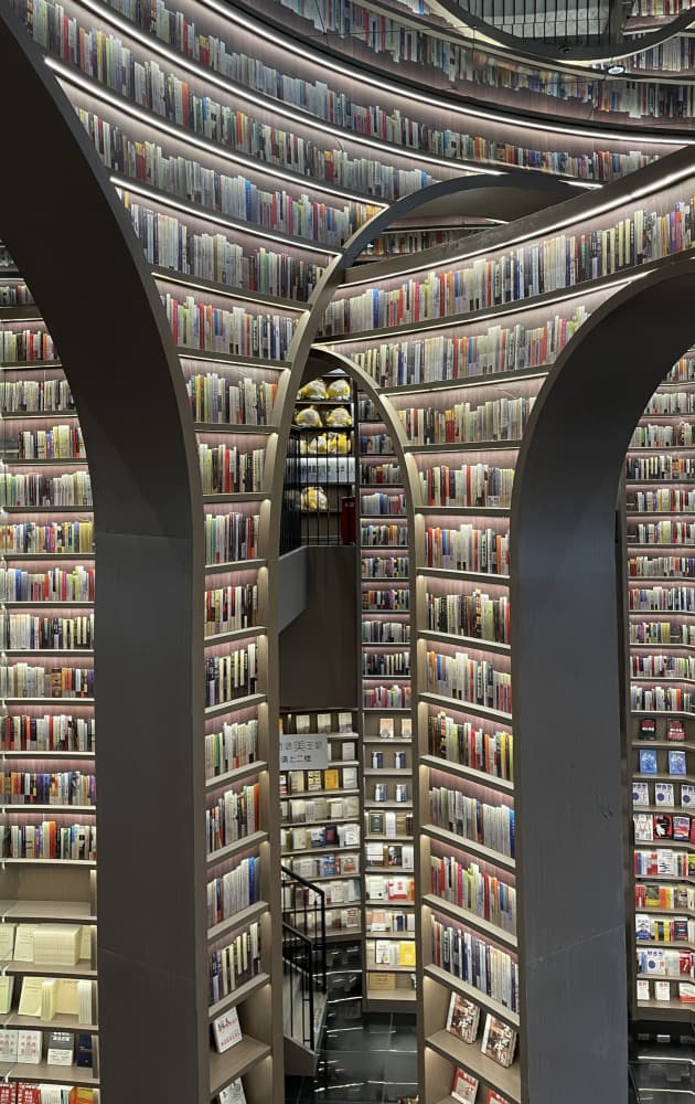 Modern Library Architecture by Fan Lin (APA) — canvas wall art