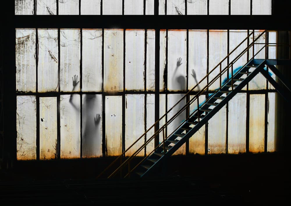 Shadows In The Window by Emine Basa — canvas wall art