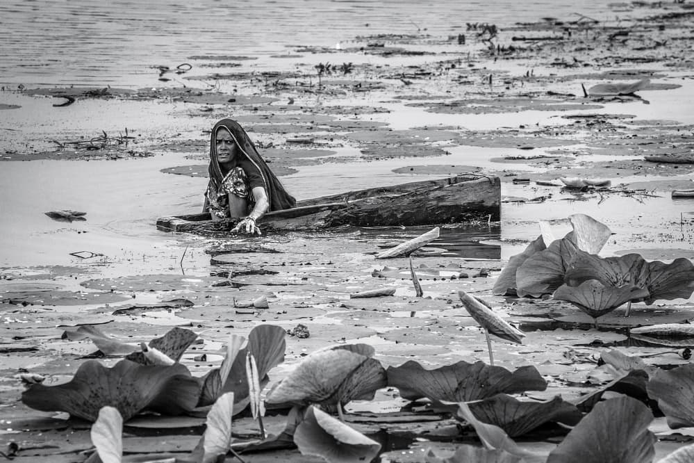 Woman in Lotus Lake by Marco Tagliarino — canvas wall art