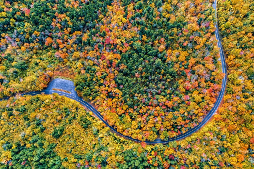 Vibrant Autumn Road by Jun Zuo — canvas wall art