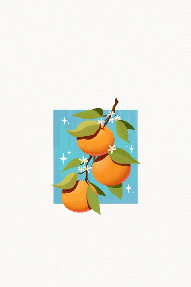 Fresh Orange Branch by Xuan Thai — canvas wall art