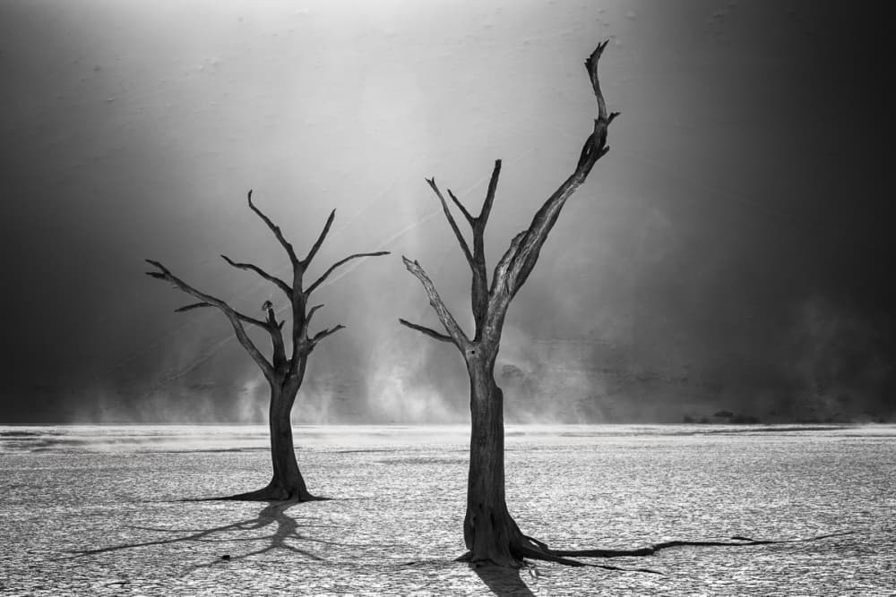 Monochrome Desert Drama by fegari — canvas wall art