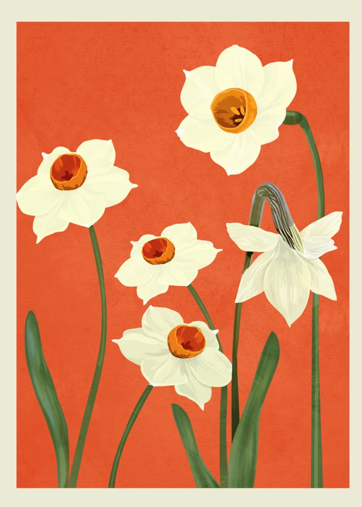 Daffodils On Red by Nadjaa — canvas wall art