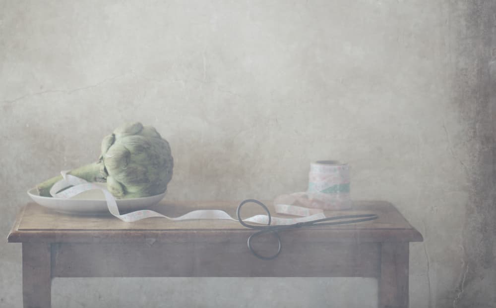 Artichoke and Delicate Ribbon by Delphine Devos — canvas wall art
