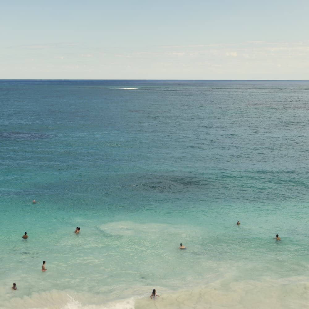 Clear Ocean Swimmers by Lynann Colligan — canvas wall art