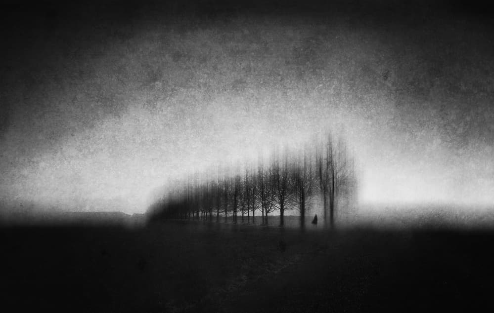 Blurred Trees and Figure by Adam Dauria ☂ — canvas wall art