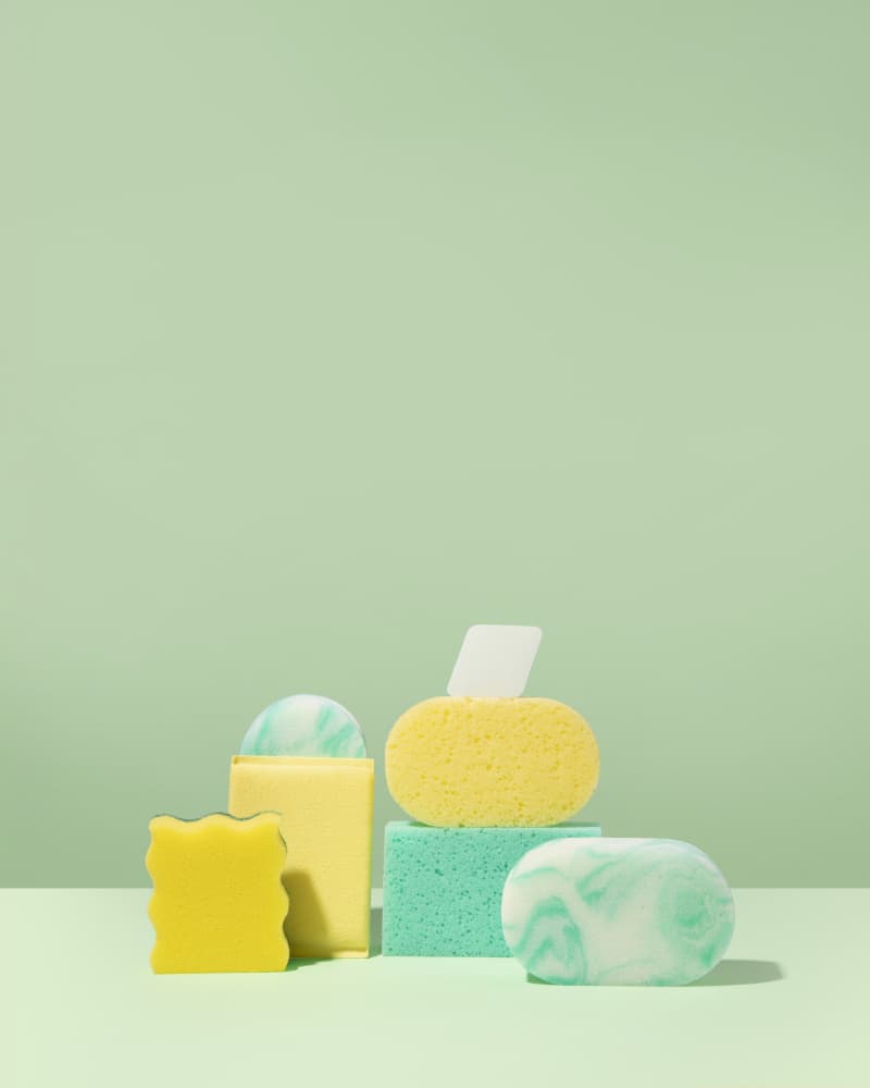 Fresh Sponges Still Life by Julia Ramiro — canvas wall art