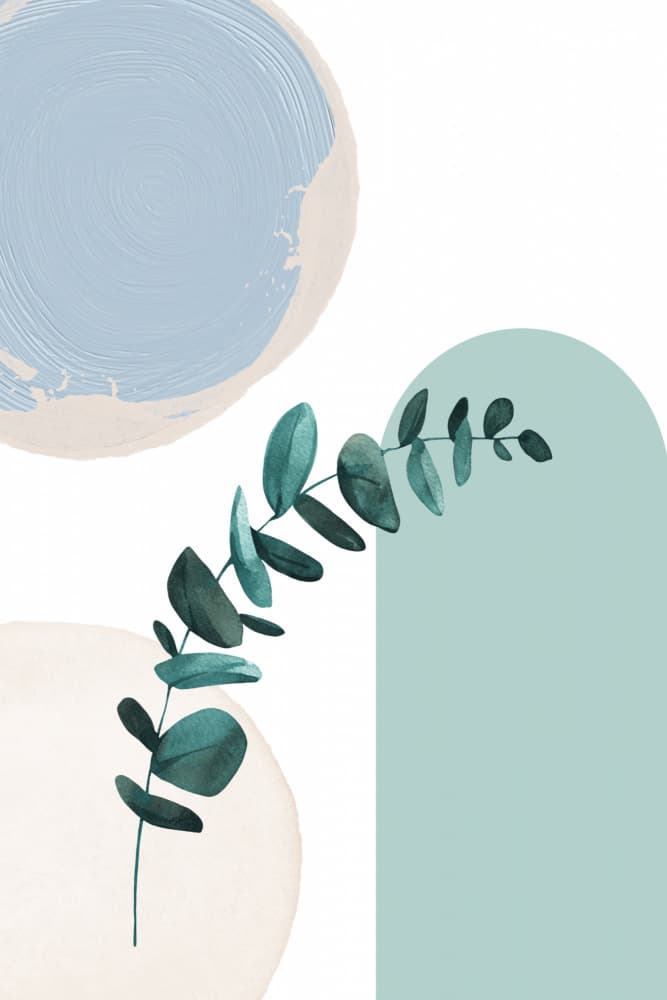 Eucalyptus Soft Abstract by Sally Ann Moss — canvas wall art
