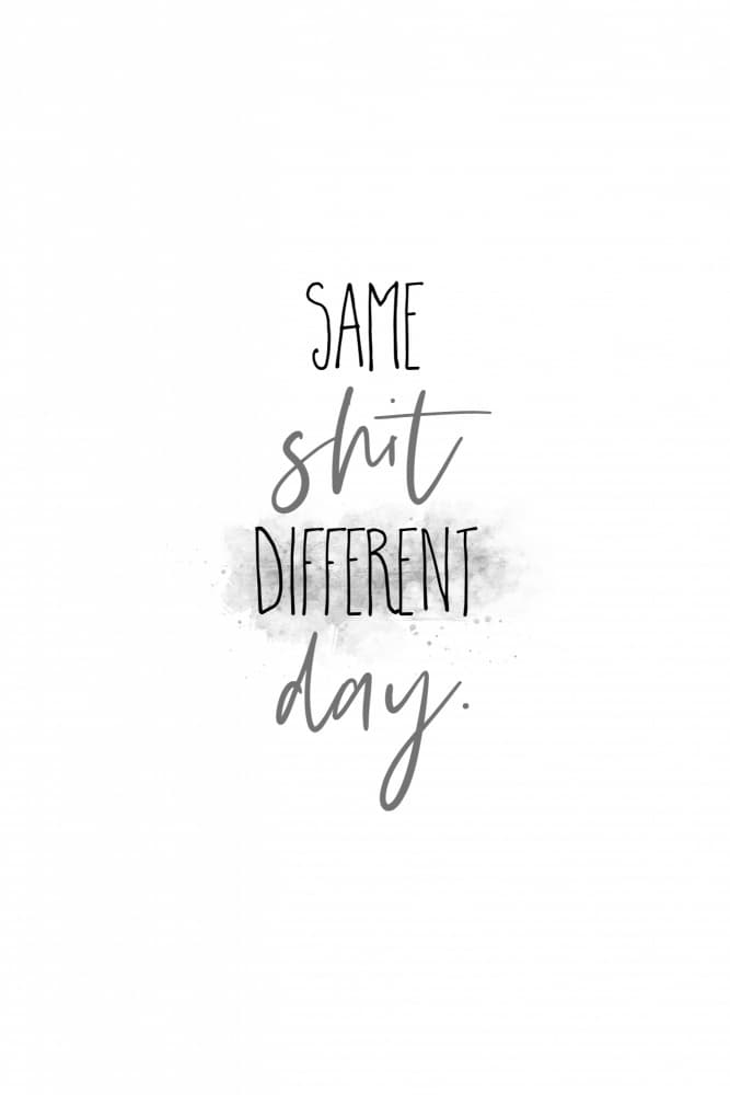 Same Shit Different Day by Melanie Viola — canvas wall art