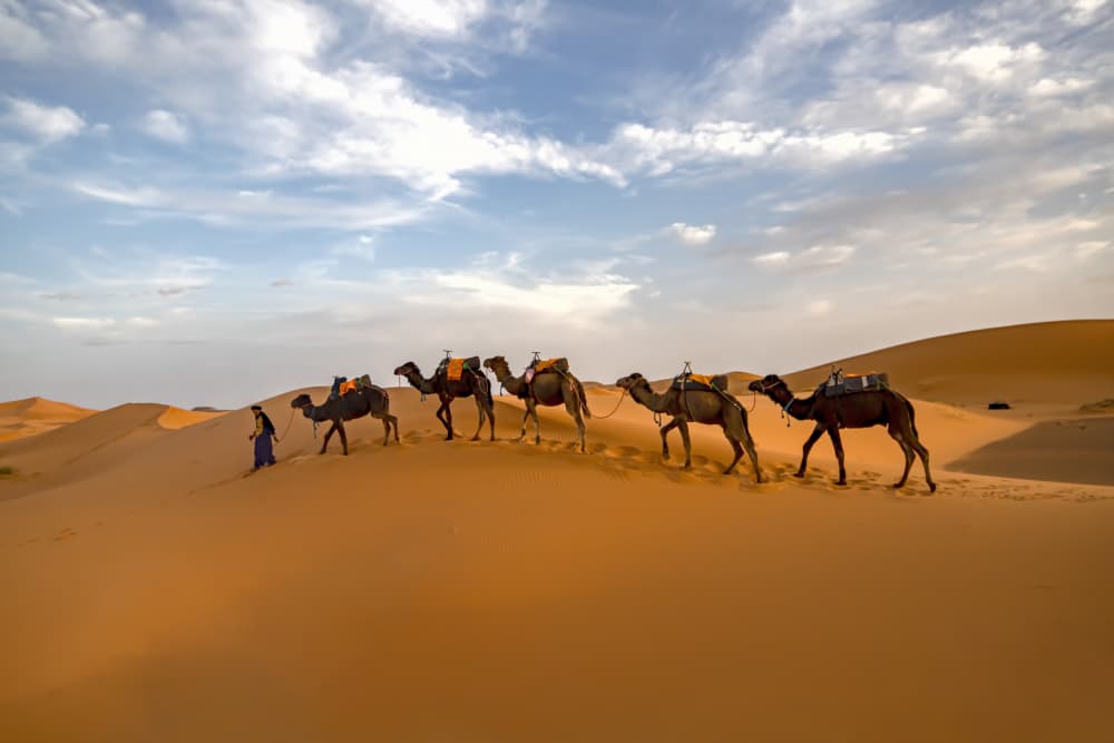Golden Desert Caravan by Gulsen Yilman — canvas wall art