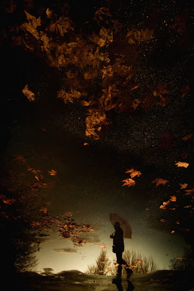 Reflecting Autumn Evening by Antonio Grambone — canvas wall art