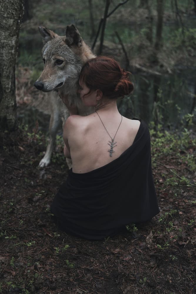 Mystical Forest Wolf Embrace by Olga Barantseva — canvas wall art