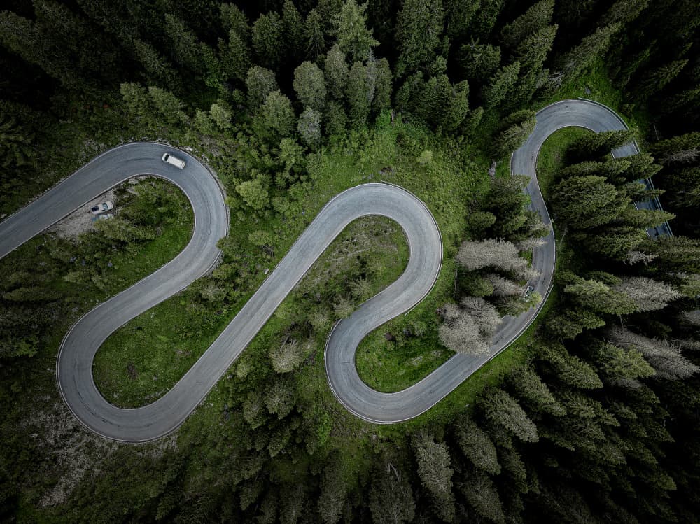 Winding Forest Road by Stefan Schilbe — canvas wall art