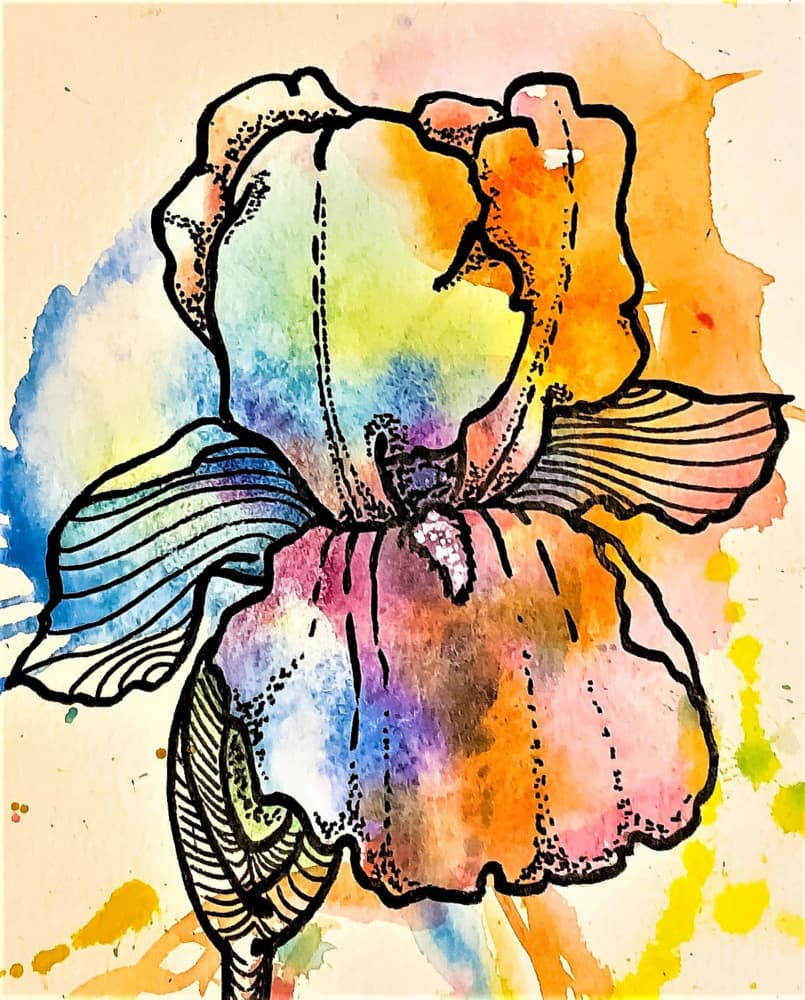 Vibrant Watercolor Iris by Anda Bieza — canvas wall art