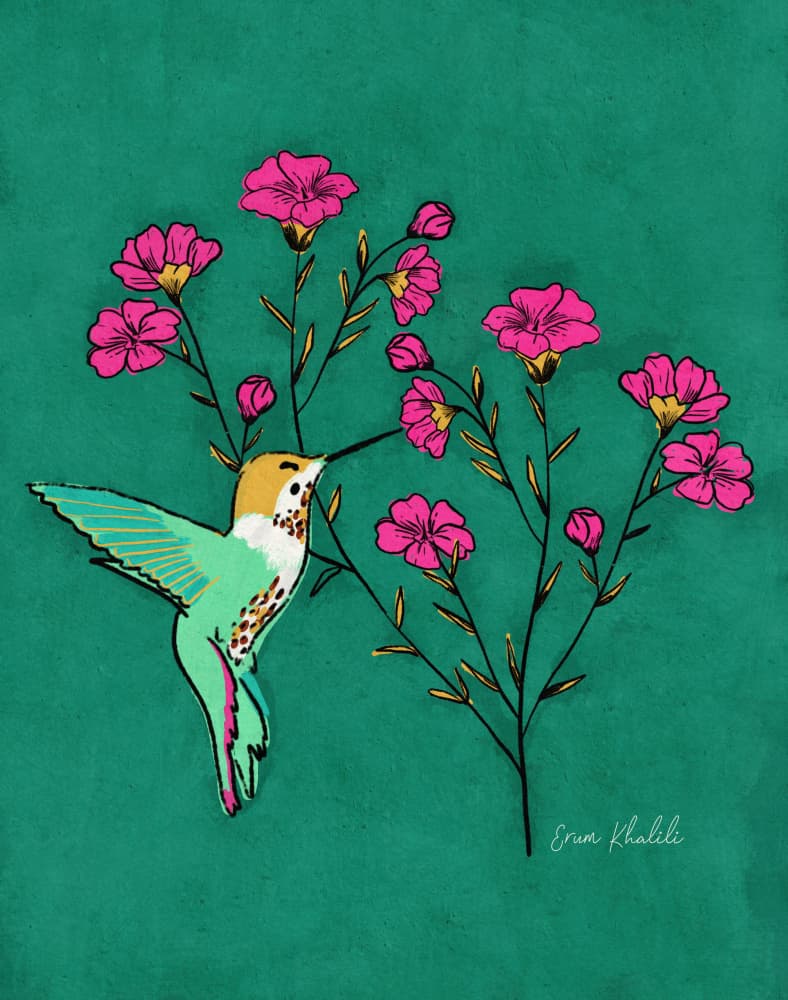 Vibrant Hummingbird Flowers by Erum Khalili — canvas wall art