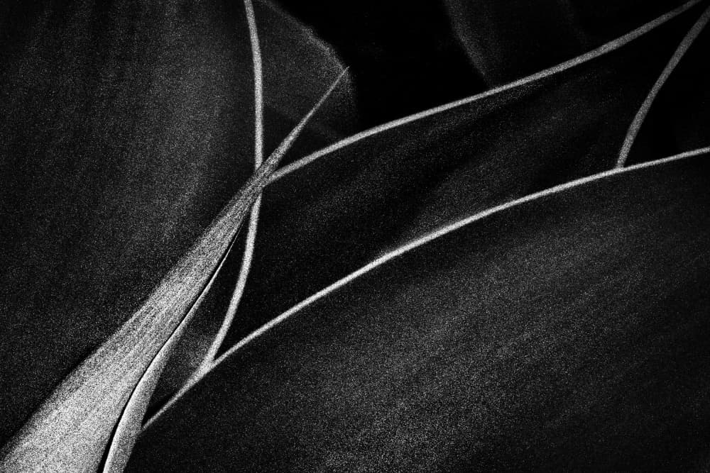 Flowing Dark Leaves by Paulo Abrantes — canvas wall art