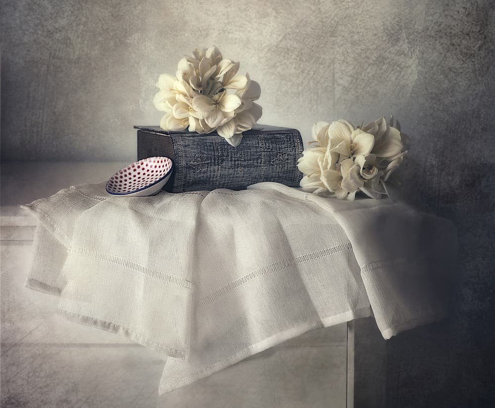 Elegant Floral Still Life by Elena Arjona — canvas wall art