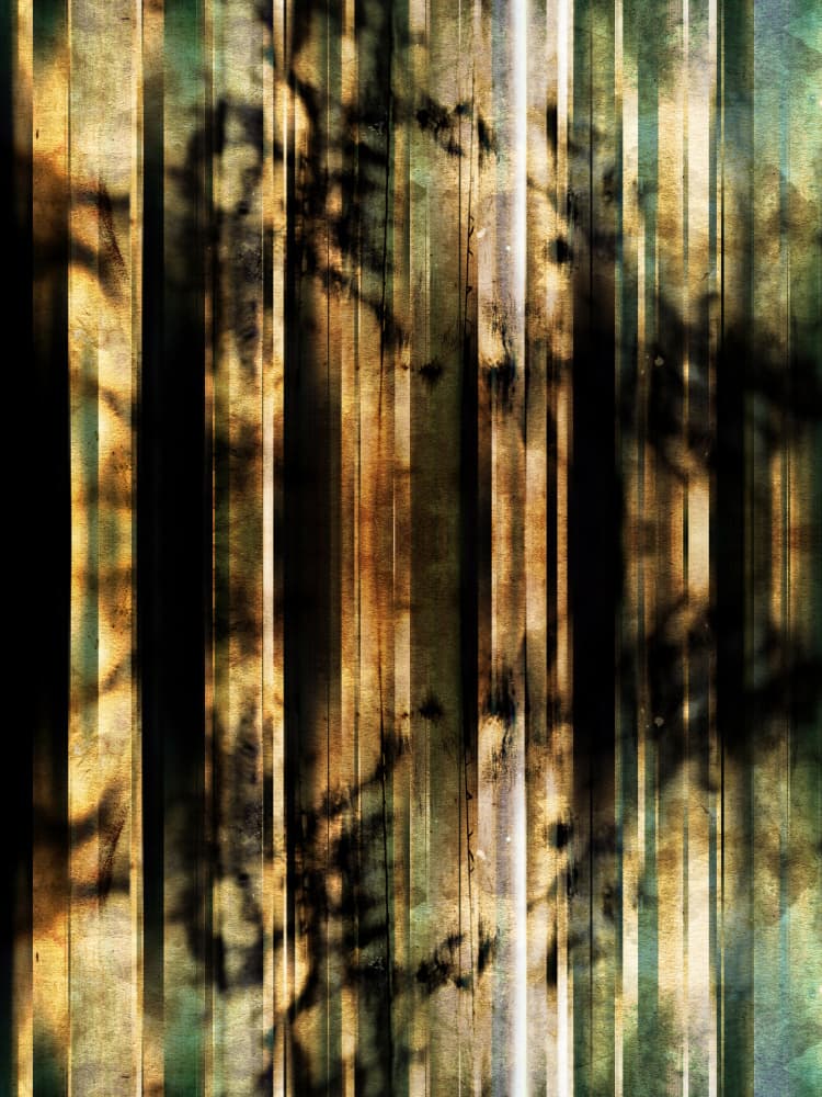 Abstract Forest Shadows by Angelo Cerantola — canvas wall art
