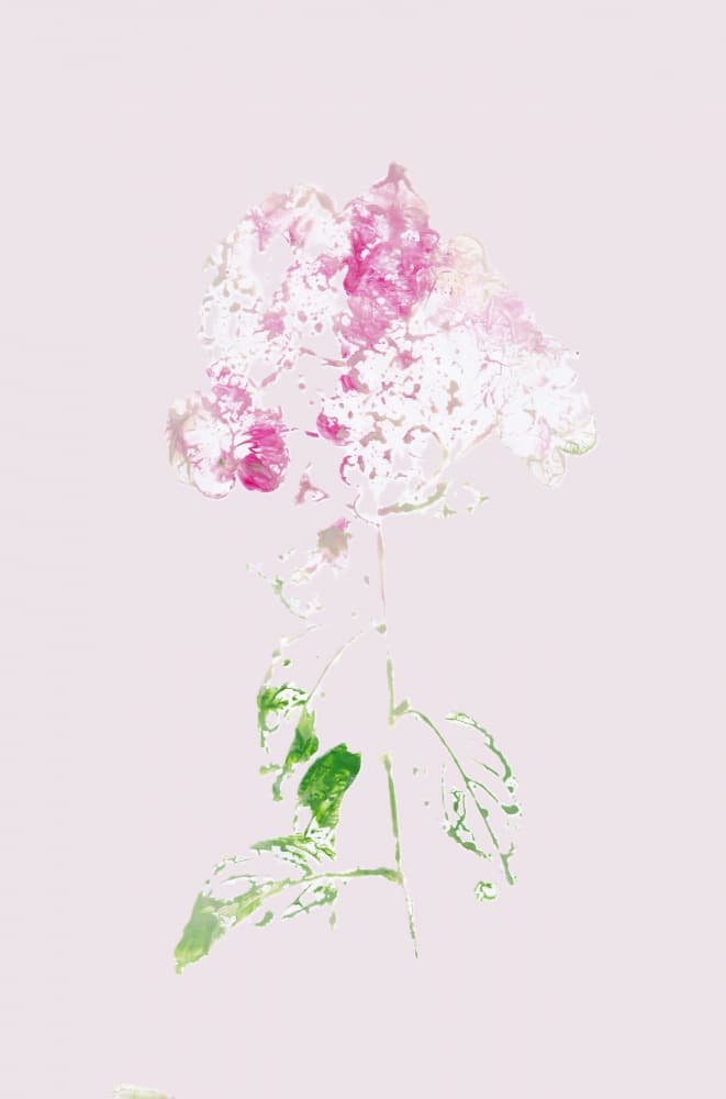 Abstract Pink Bloom by Maira Ribena — canvas wall art