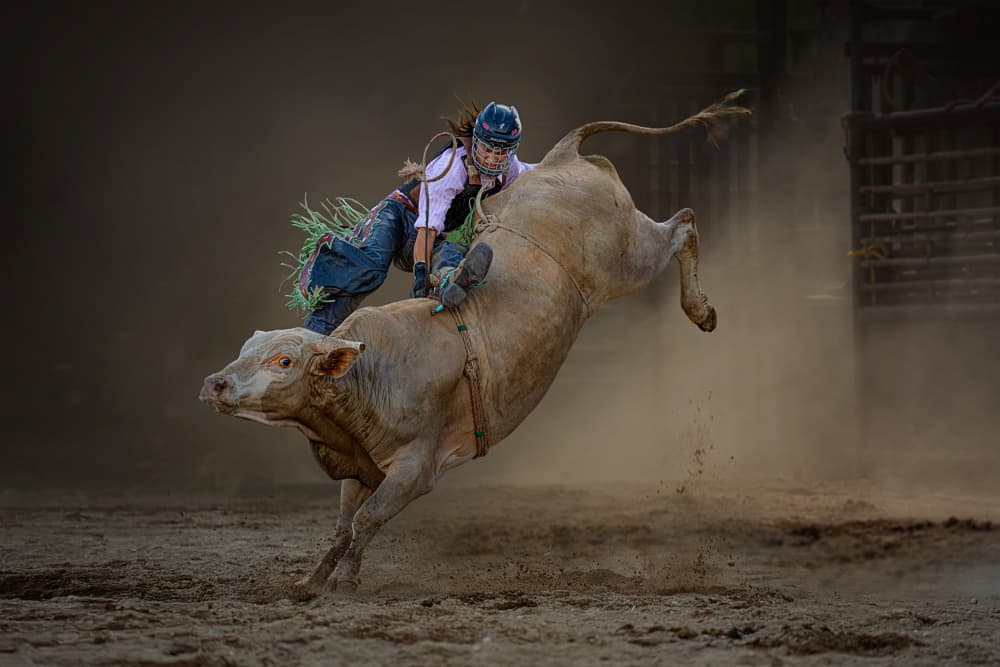 Bucking Bull Rider by Lydia Jacobs — canvas wall art