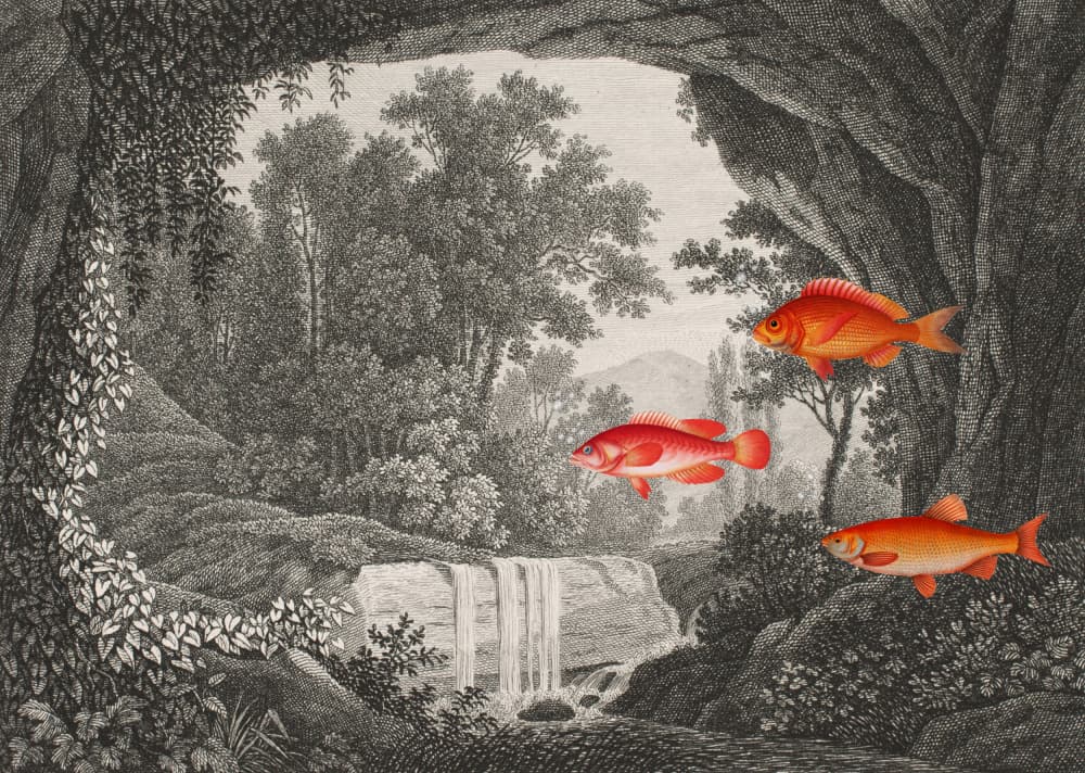 Flying Fish Grotto by Marja van den Hurk — canvas wall art