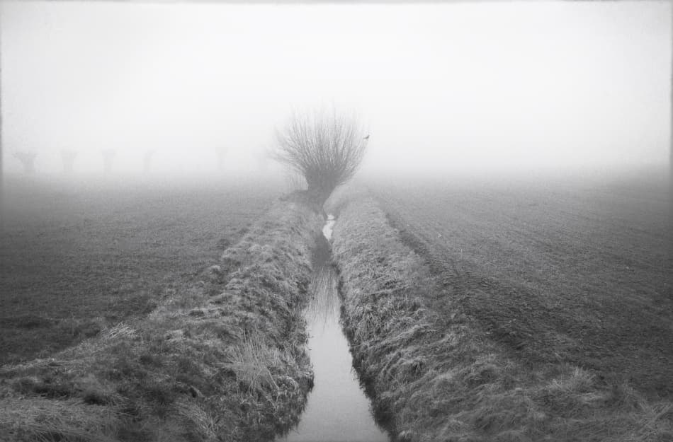 Misty Lone Tree by Christoph Hessel — canvas wall art