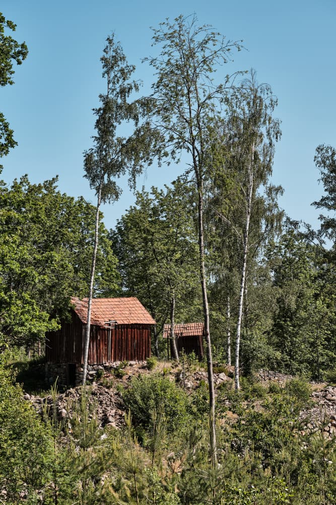 Rustic Woodland Cabins by Geertjan Plooijer — canvas wall art