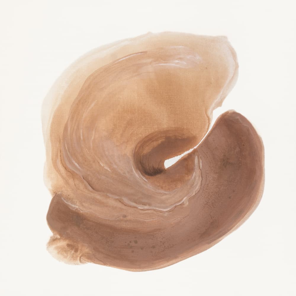Organic Brown Swirl by Anastasiya Devochkina — canvas wall art