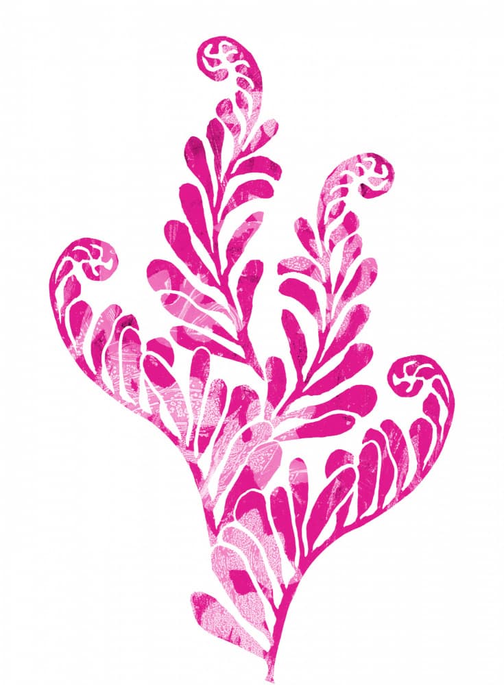Vibrant Pink Botanical by Melissa McKeagney — canvas wall art