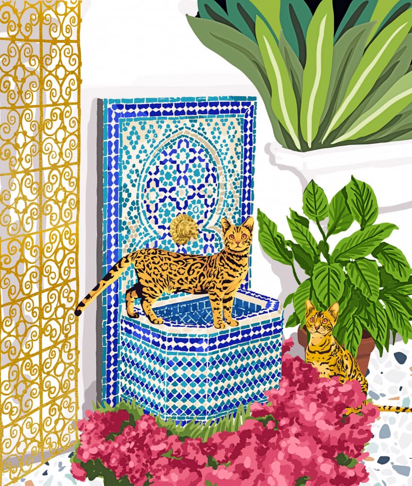 Moroccan Fountain Cats by Uma Gokhale — canvas wall art